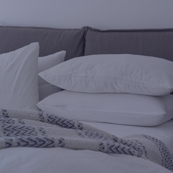 la cardeuse customer succes meriti la cardeuse customer succes meriti