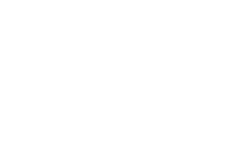 Fast Track 2023