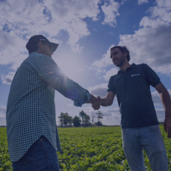 nera customer succes meriti nera customer succes meriti