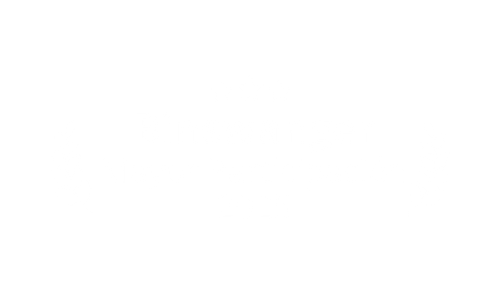 Binswanger 2025